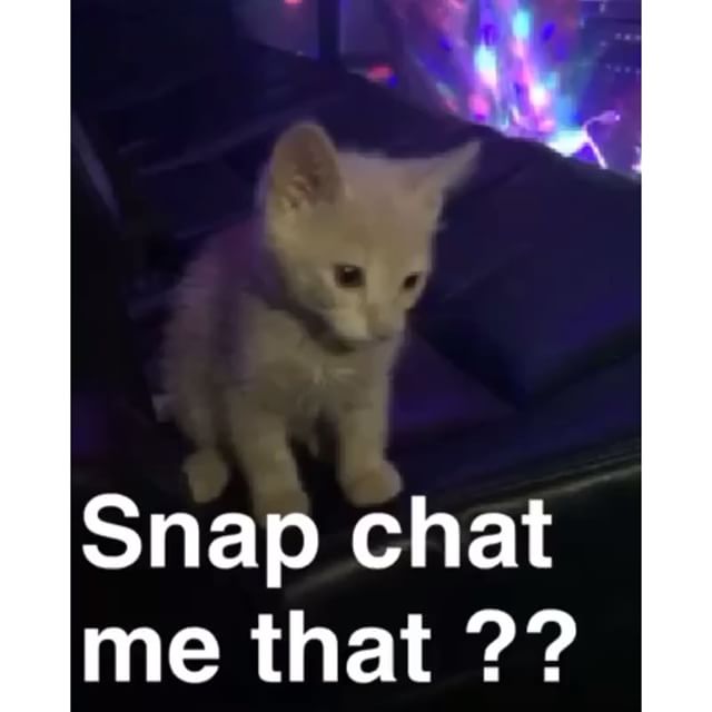 dan heidt recommends Snapchat Me That Pussy