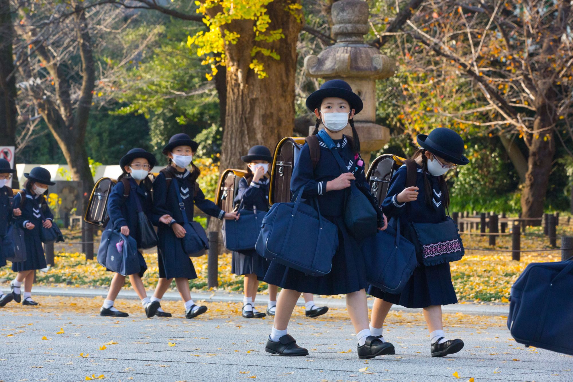 brett rollins add photo japan school girl panties