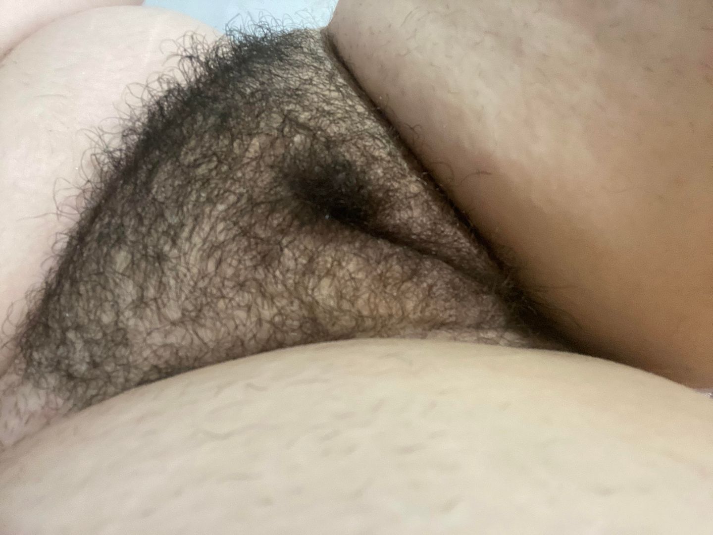 andrew cordon share fat hairy pussy pics photos