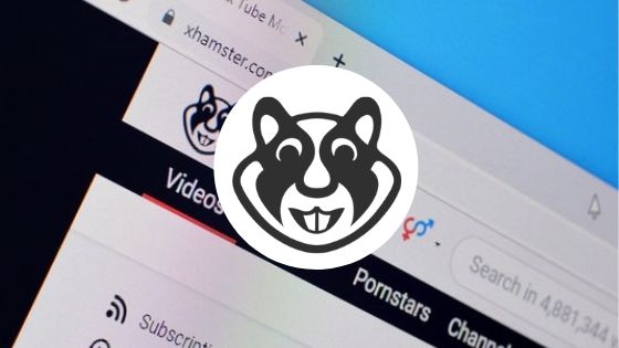 dan henes recommends How To Download Xhamster Videos