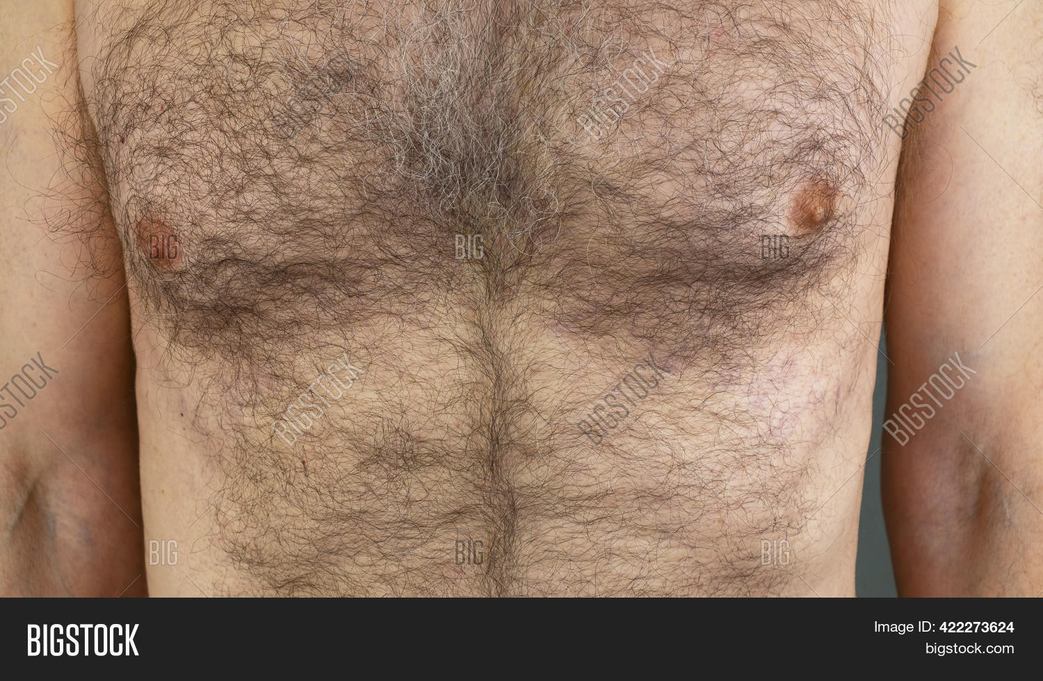 brittney pollard recommends Big Hairy Man Boobs