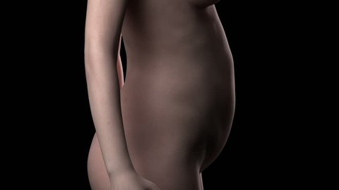 Nude Pregnancy Time Lapse humble tx