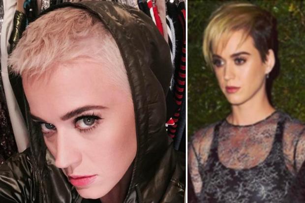 beavis johnson share katy perry sexy blonde photos