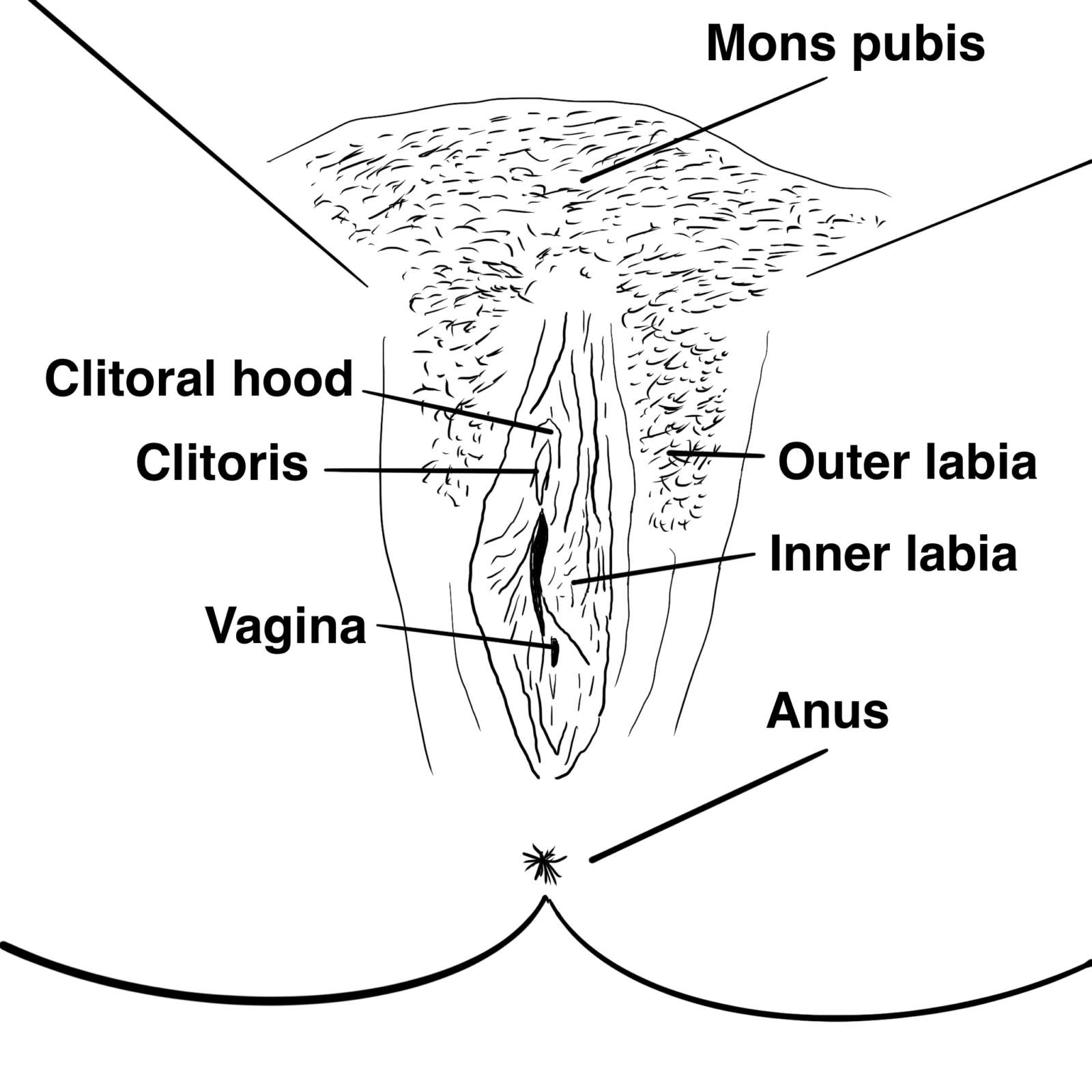 brian tiffee recommends How To Lick Cunt