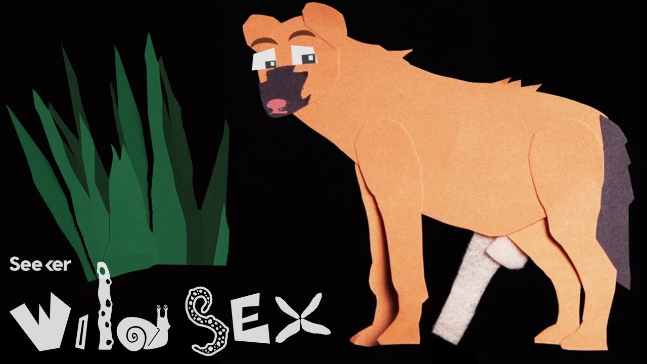 czarina laya recommends Cartoon Animals Have Sex