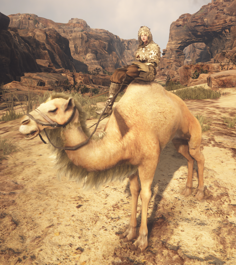 deborah hohn add bdo how to get camel photo