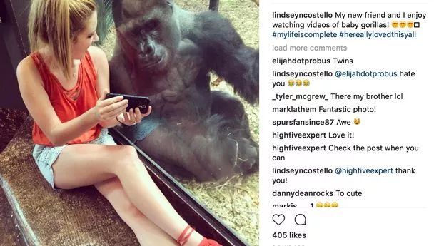 woman sex with gorilla