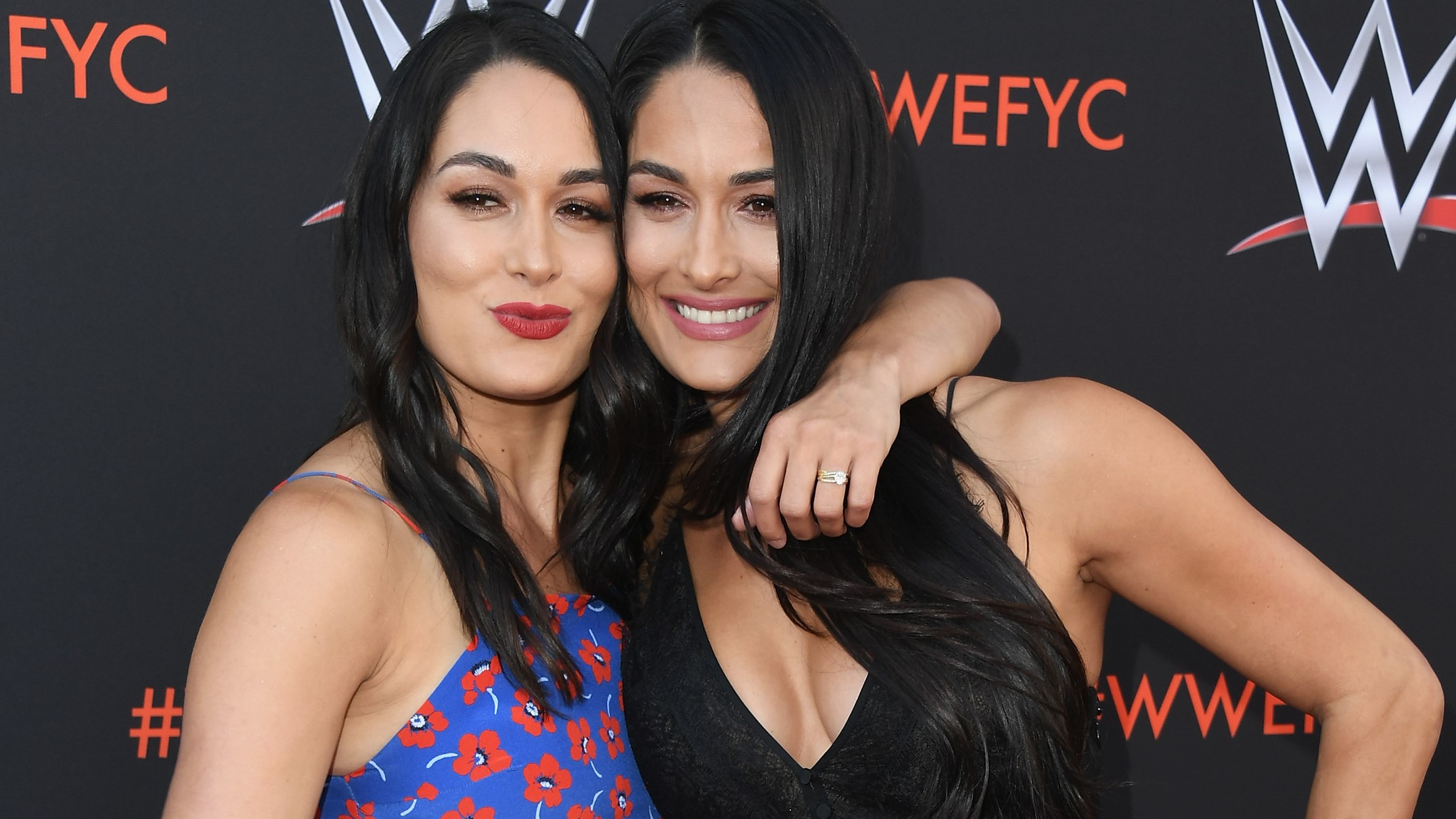 annette whittle recommends Wwe Diva Nikki Bella Nude