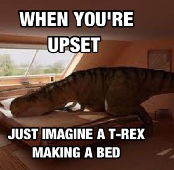 ani kekua recommends t rex making a bed gif pic