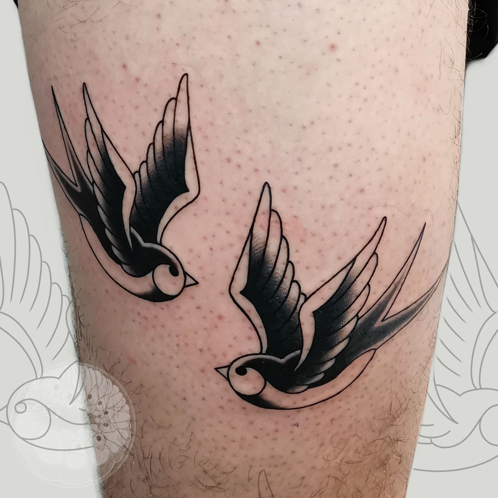 charlie bushell recommends Sparrow Vs Swallow Tattoo