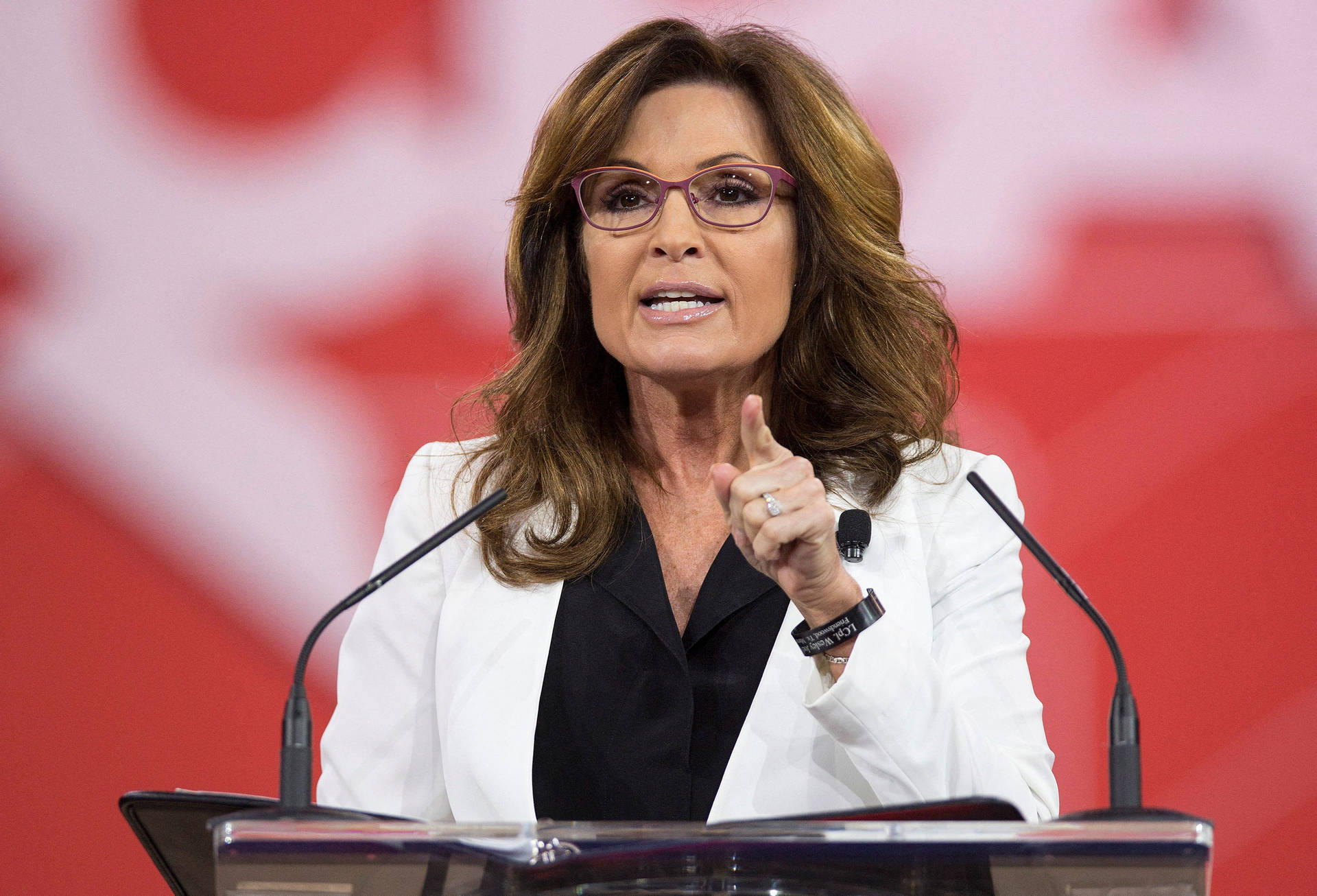 beverly blaisdell recommends sarah palin hot tumblr pic