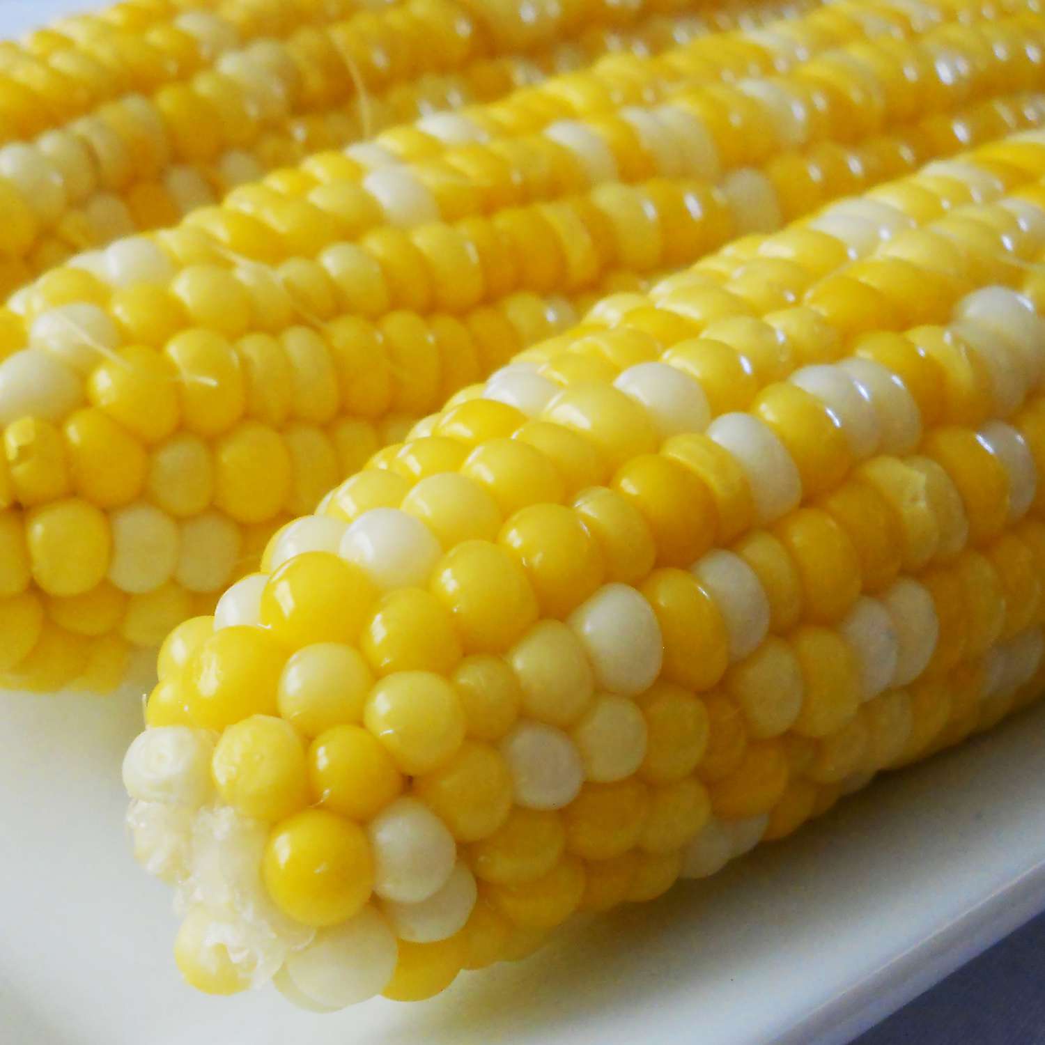 donna bowen recommends Corn On The Cob Images