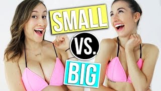 darryl mccreary recommends Big Tits Next To Small Tits