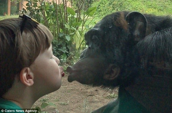 anne roots recommends French Kissing With Dentures