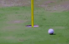 dick hilliard recommends hole in one gif pic