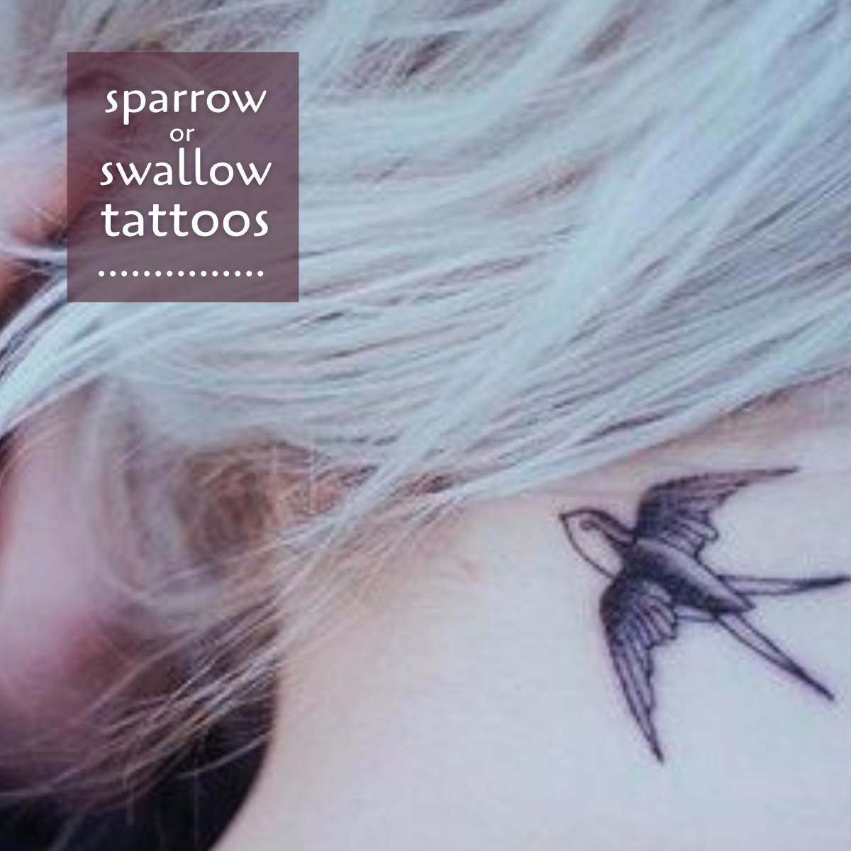 chad harwell recommends Sparrow Vs Swallow Tattoo