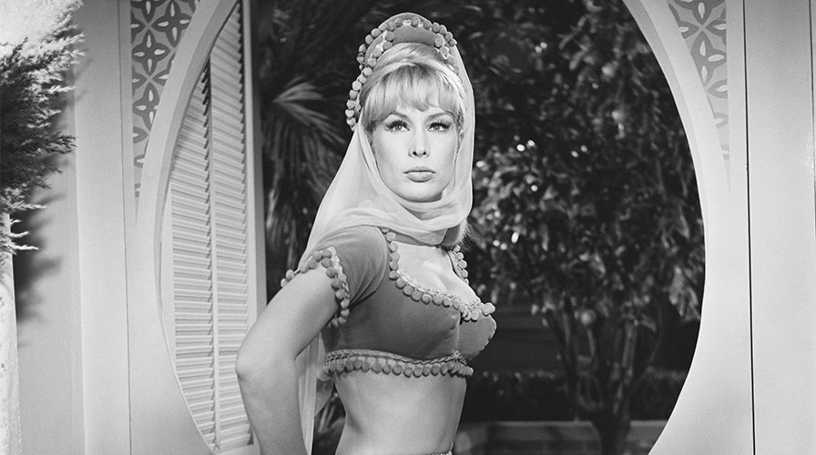 don mcneff recommends barbara eden in playboy pic