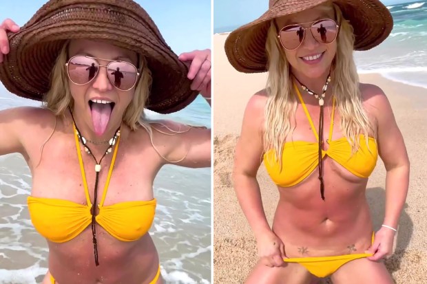 brittany somogyi recommends Bathing Suit Malfunction Videos