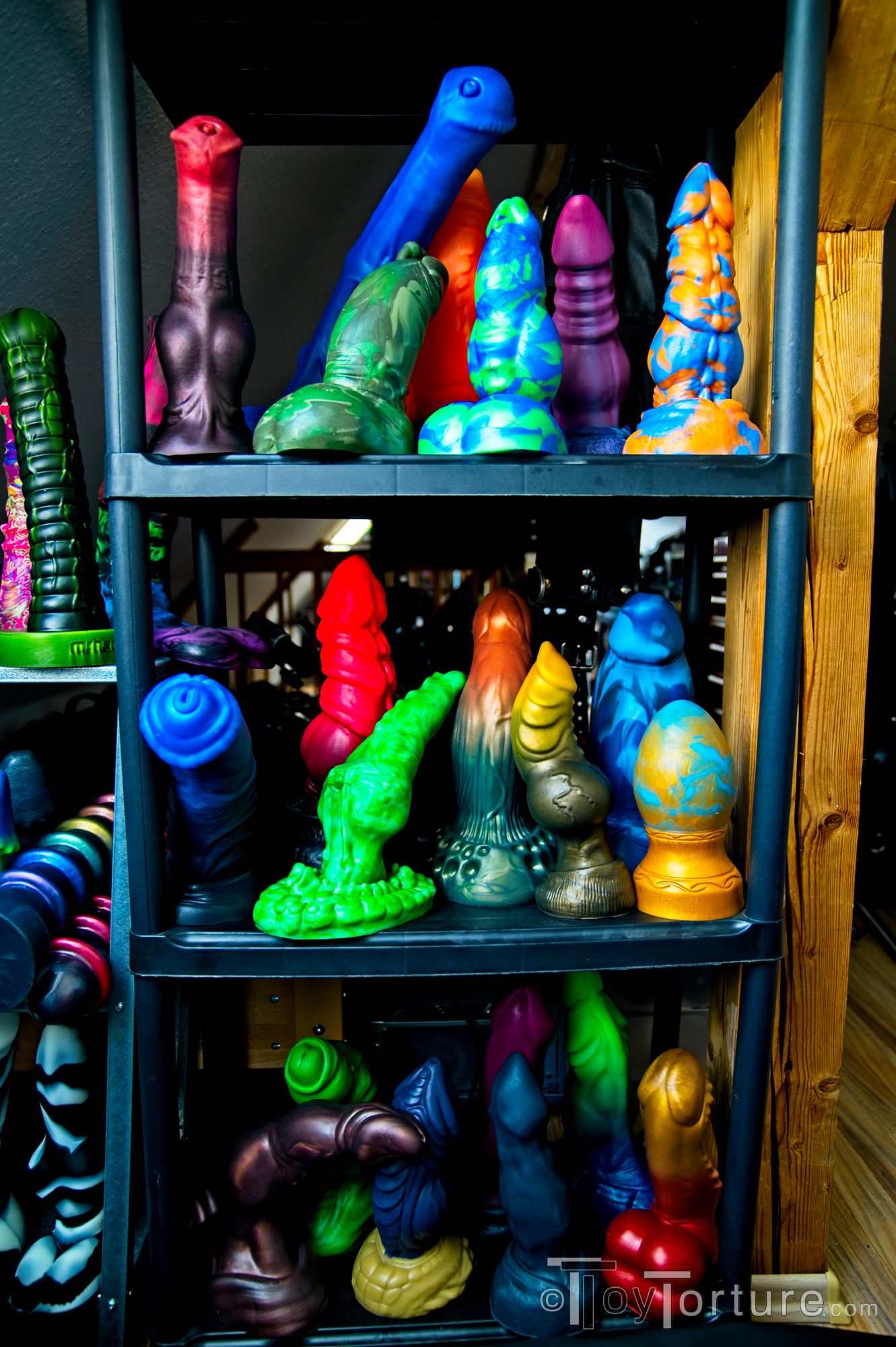 bad dragon and friends