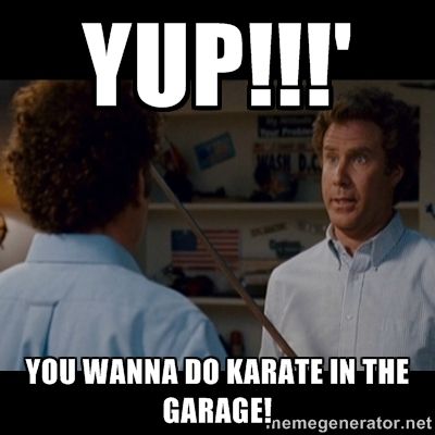 aileen saavedra recommends do you want to do karate in the garage gif pic