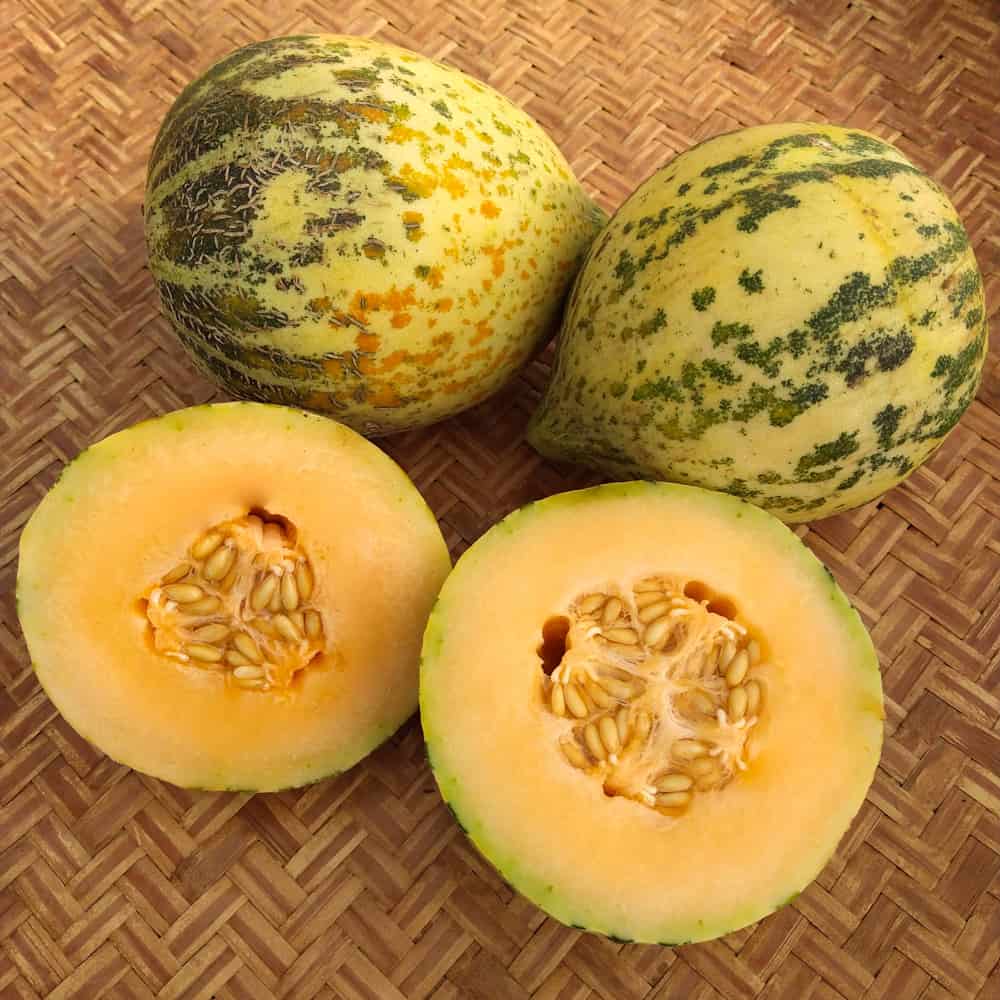 ajay kokate recommends young ripe melons 2 pic