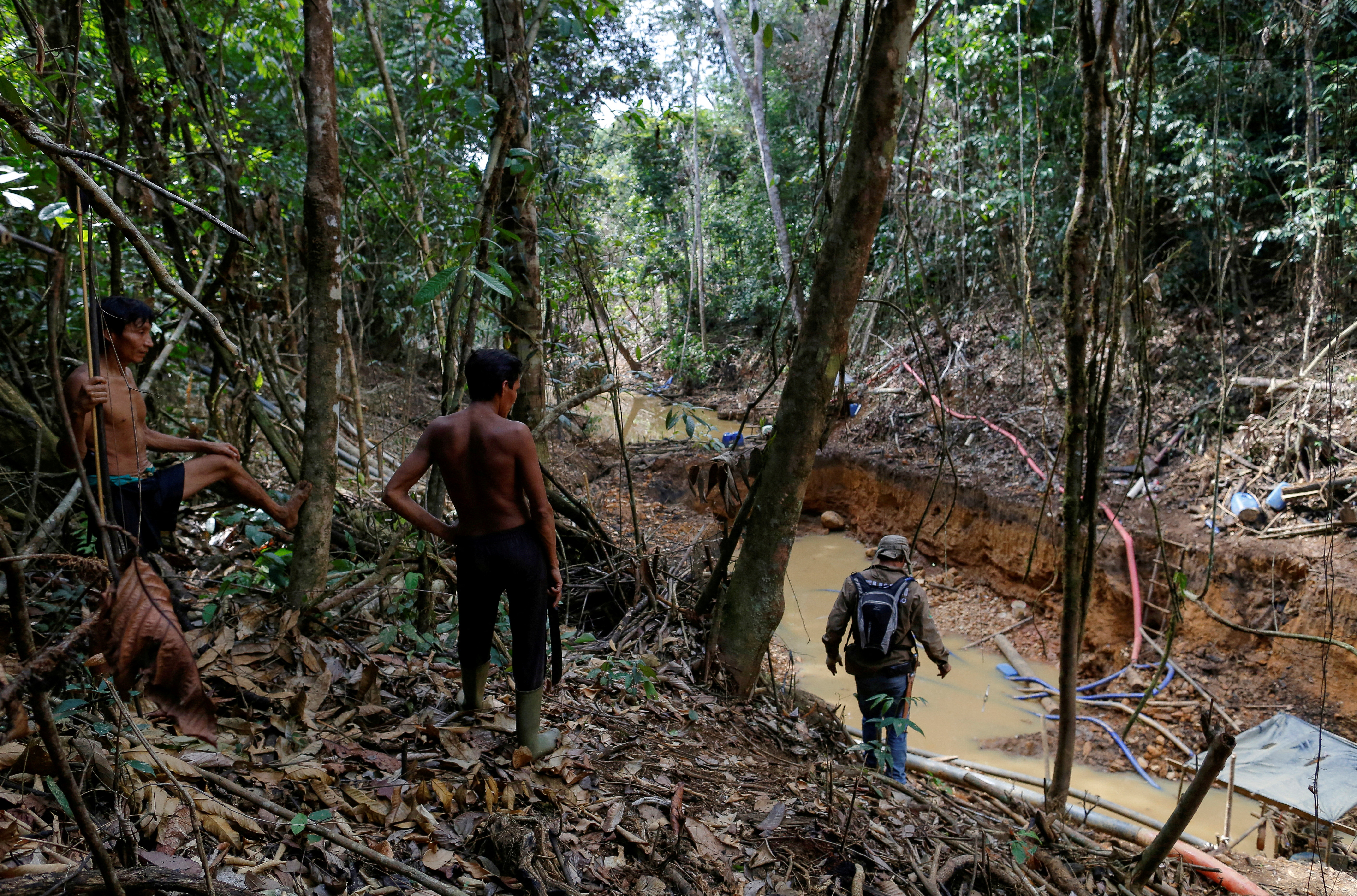 bernard michaels share rape in the jungle photos
