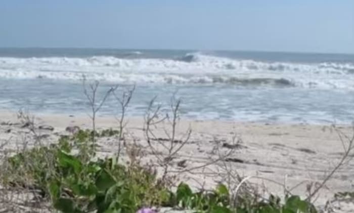 Nude Beach Jacksonville Florida gothenburg escort