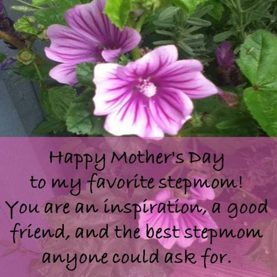 clayton stockton share stepmom mothers day quotes photos