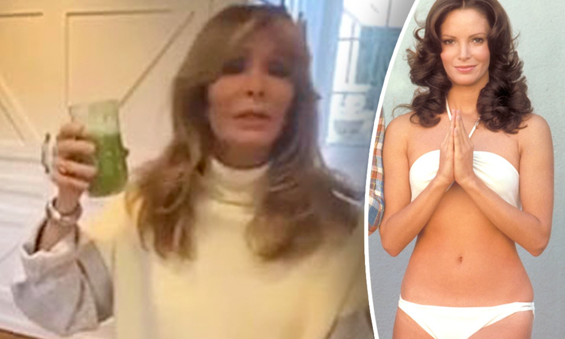 andy henschel add photo jaclyn smith in a bikini