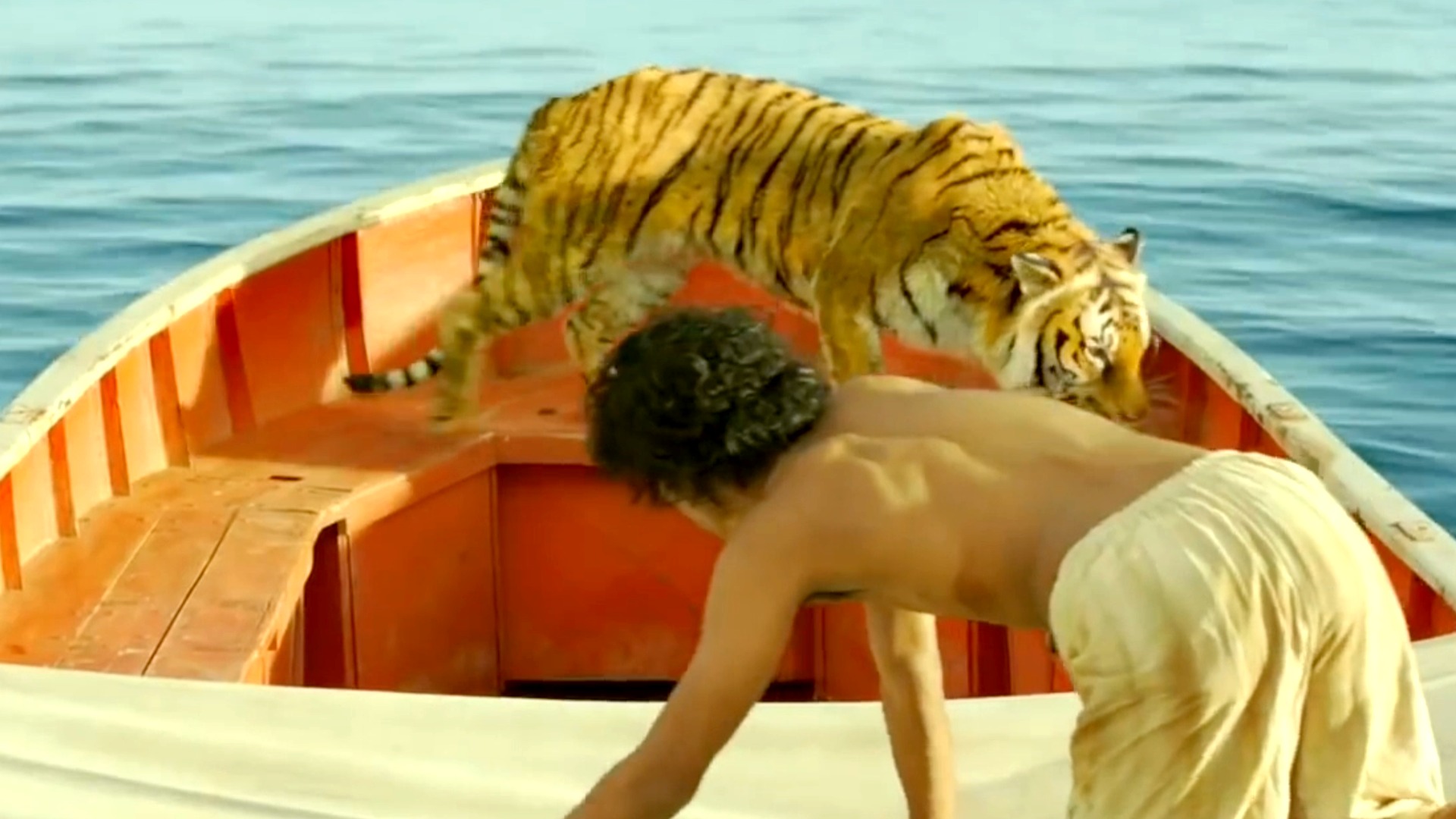 devin duplessis recommends life of pi full movie download pic