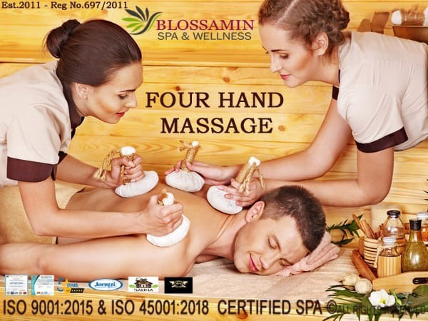 dave hannes recommends Four Hand Massage Prices