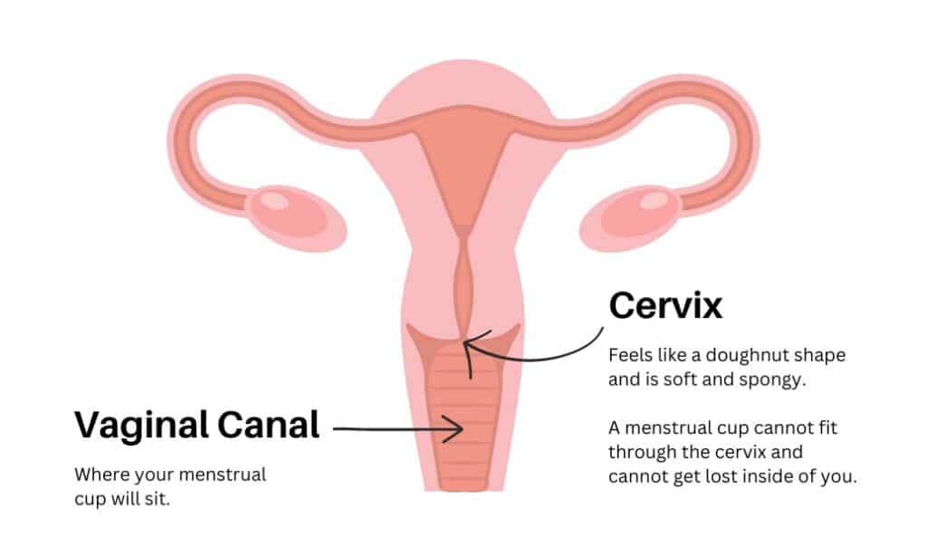 crystal goodell add photo positions to avoid hitting cervix