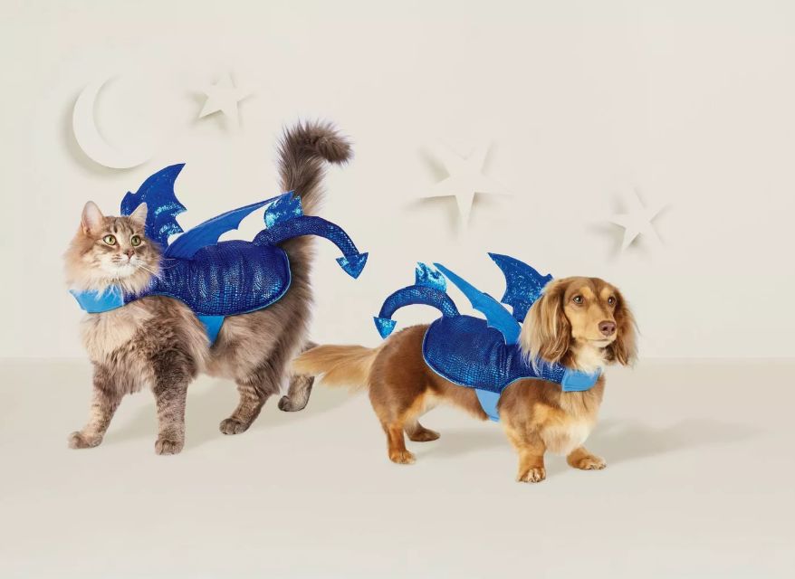 danielle ramage recommends dragon costume for cat pic