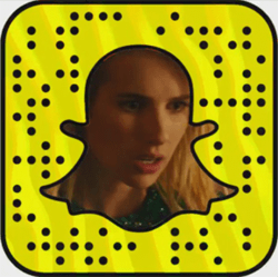 What Is Emma Roberts Snapchat levi michaels