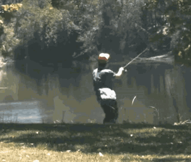 brandon koser recommends Funny Fishing Gif