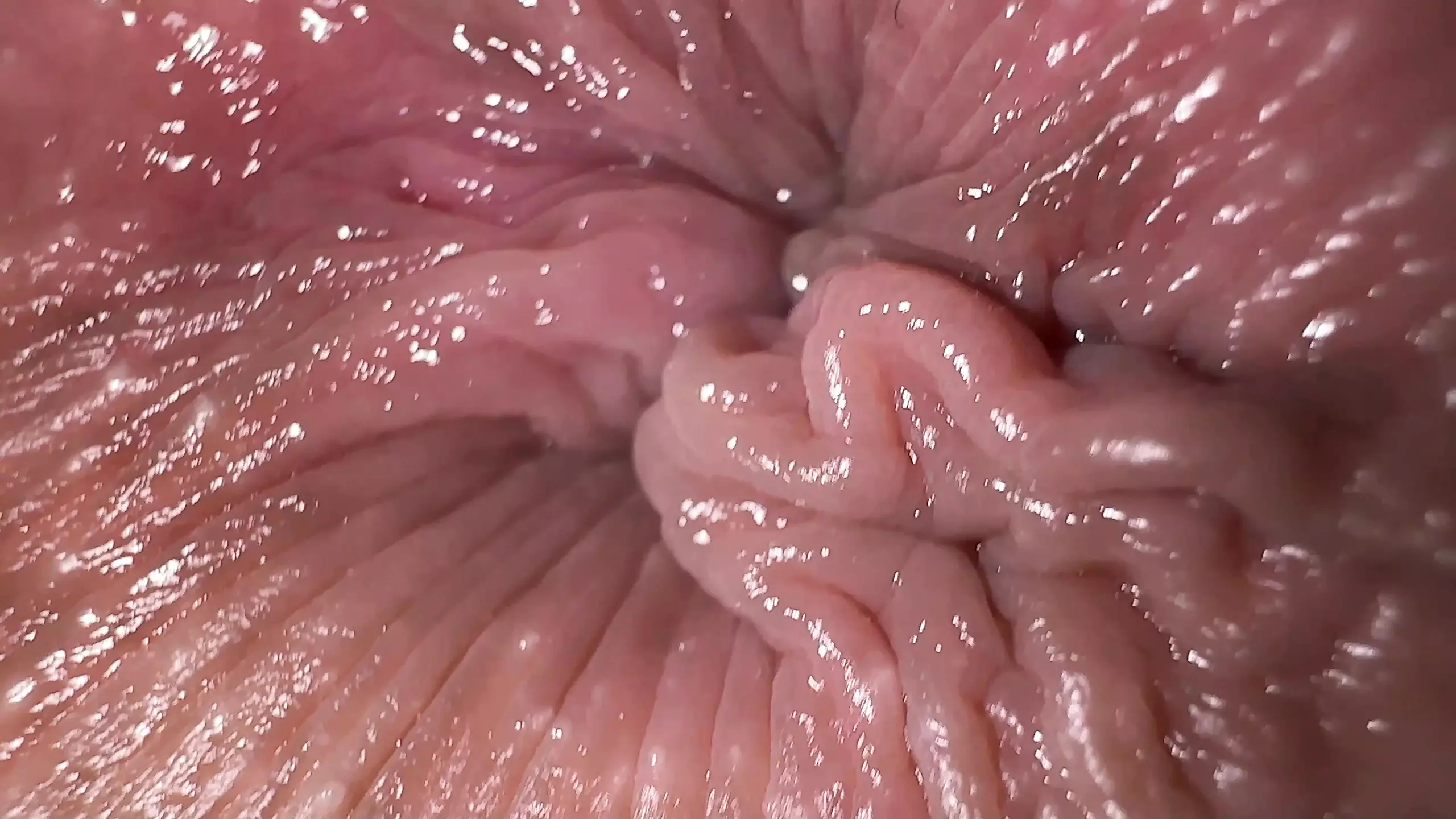 close up anal fingering