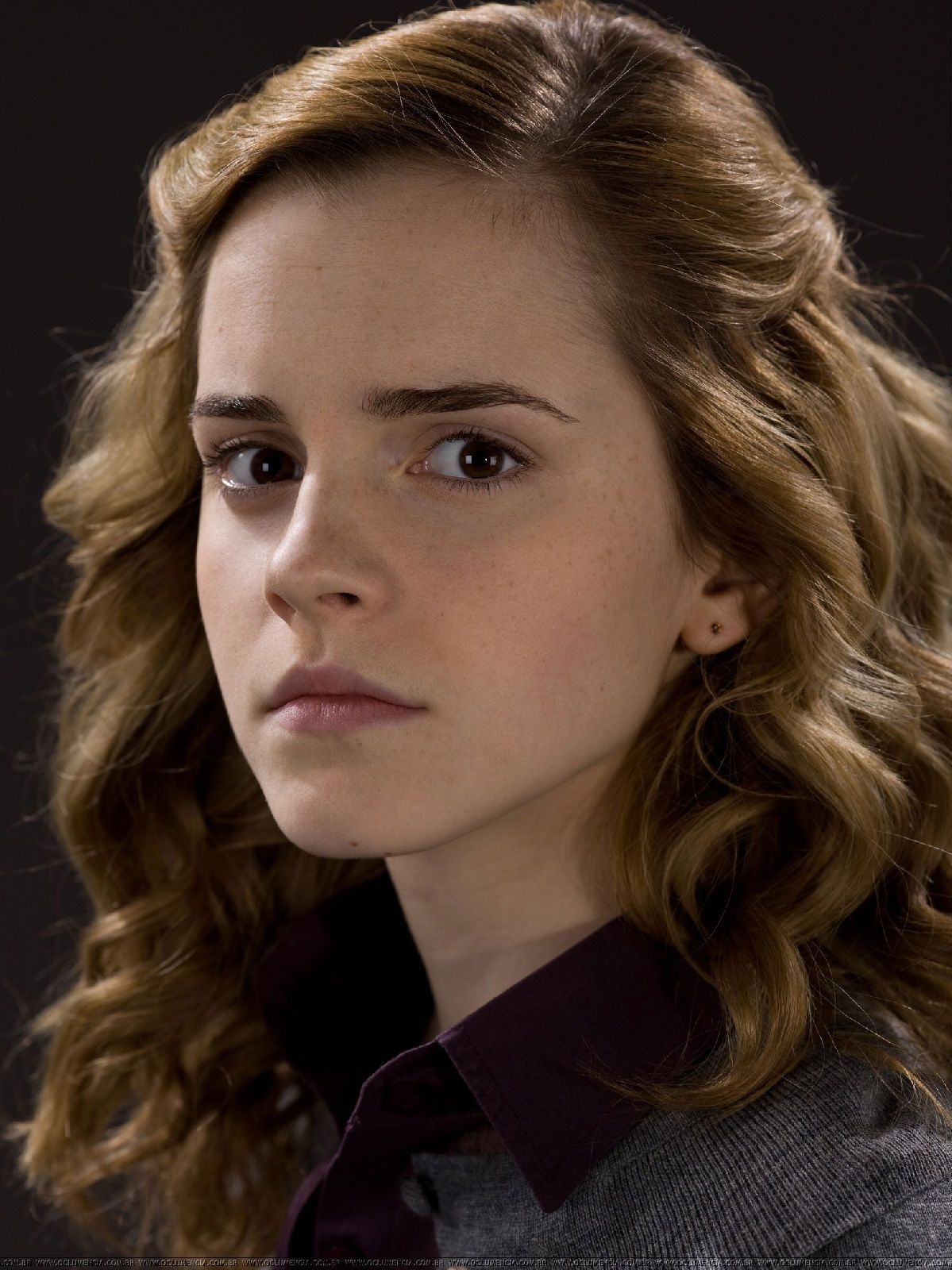 chad giles share images of hermione in harry potter photos