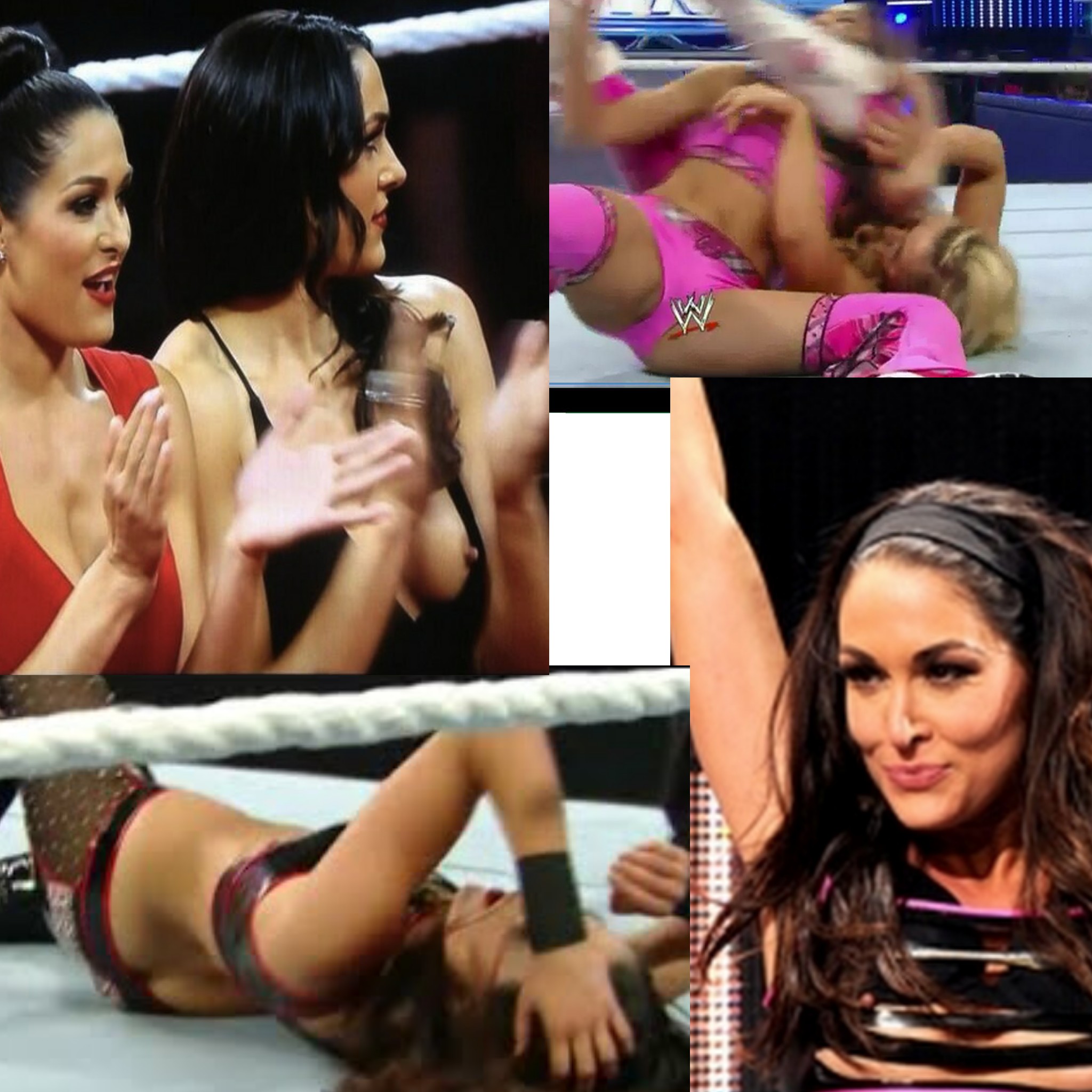 betsy henkel recommends wwe bella twins naked pic
