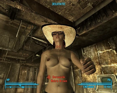 christofer haddad recommends fallout 3 porn mod pic