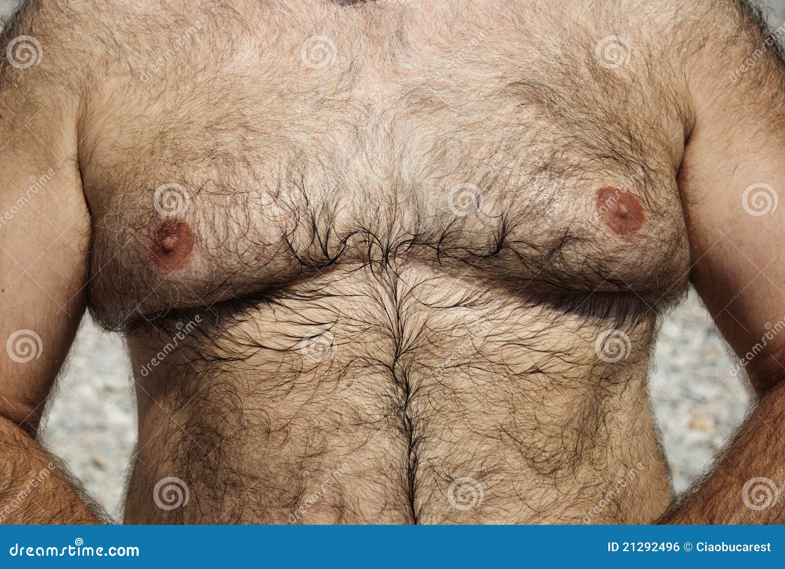 chiran aryal recommends big hairy man boobs pic