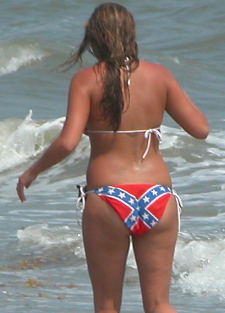 bj salsbury recommends confederate flag bikini girls pic