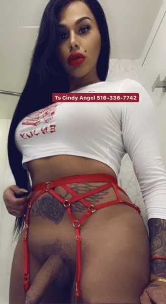 anthony davison recommends ts cindy angel pic