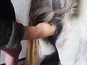 alicia casarez recommends man fucking a pony pic