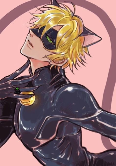 dakota bradshaw add photo cat noir sexy