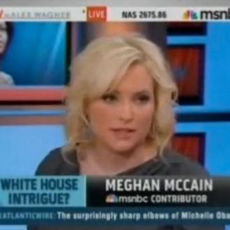 adam kuypers recommends meghan mccain huge tits pic