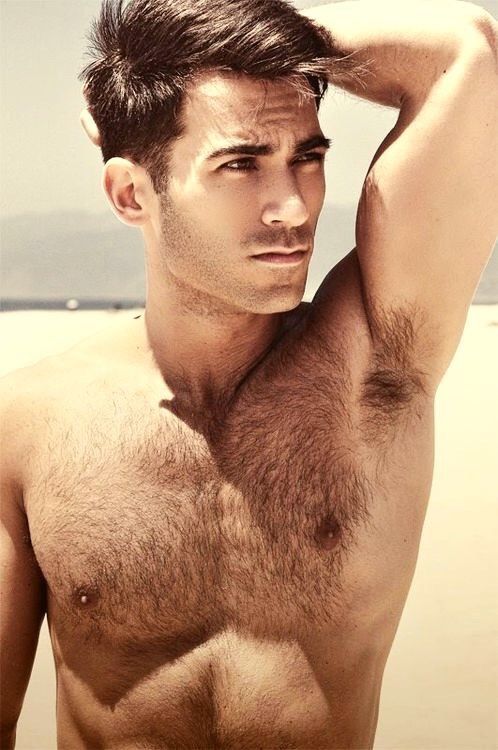 ashish sevara recommends handsome hairy men tumblr pic