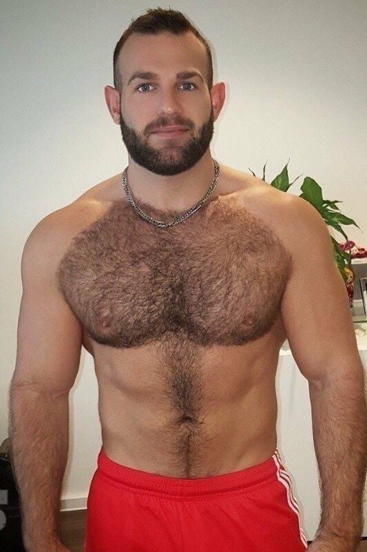 Best of Hairy muscle video tumblr