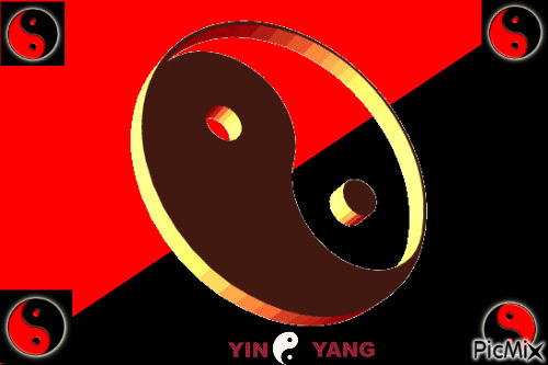 Yin And Yang Gif shore bisexual