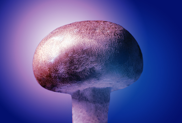 Mushroom Head Penis lee johnson