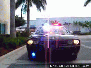 cassi roleda recommends Police Car Gif